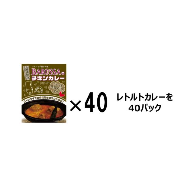 【送料無料！】東京・池袋のレストラン『バロッサ』のレトルトカレー（スープタイプのカレー）×１０パック