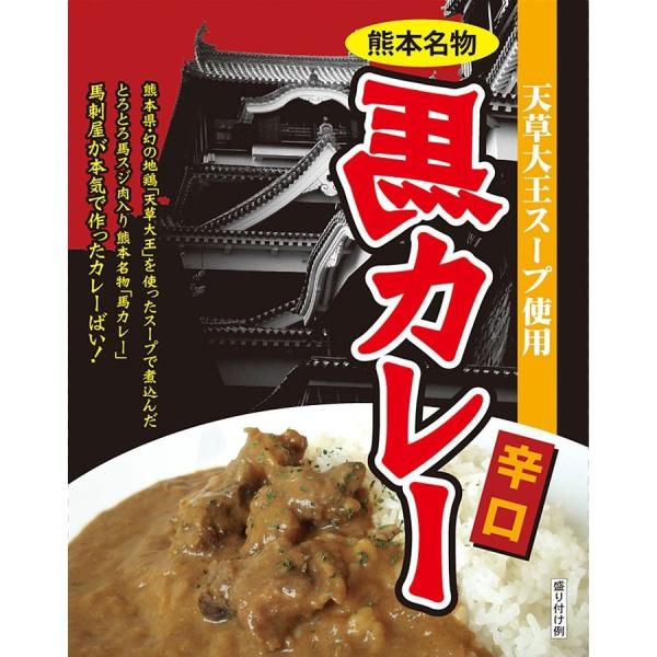 熊本 馬スジ肉入り 馬カレー 辛口 1人前 180g