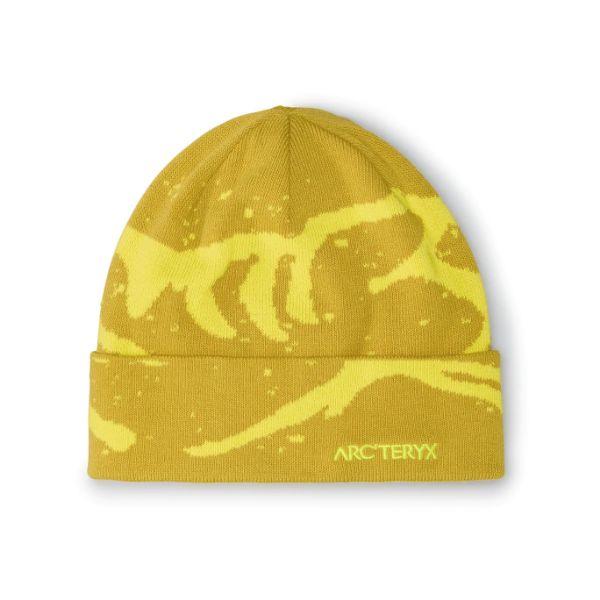 ARC'TERYX アークテリクス グロットトーク (X000009253