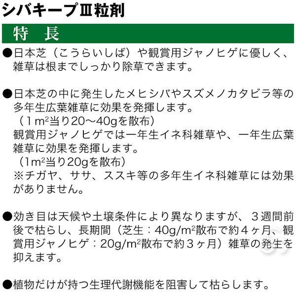 basecamp8_4903471101800_2_d_20260319104807