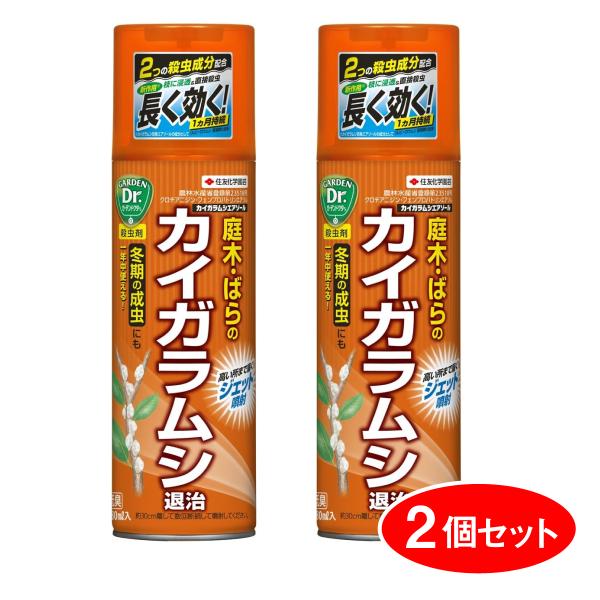 【在庫有】【まとめ買い】 KINCHO園芸 カイガラムシ エアゾール 480ml 2本セット 殺虫剤 庭木 ばら 約1ヵ月持続 害虫 越冬成虫 対策 ジェット噴射
