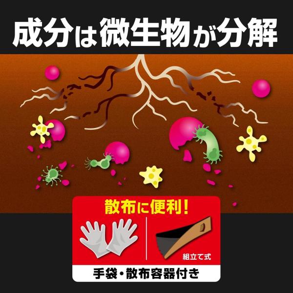 basecamp8_4975292605041_5_d_20260327120010