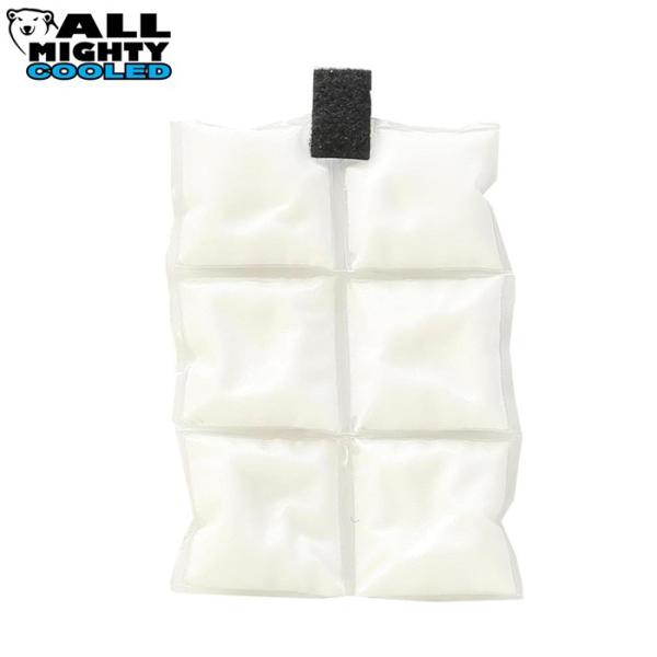 I[}CeB MǑ΍ ACVO ۗ ₽Ȃ14x 2Ԏ EgN[ PCM6 mig19fw mig23cool