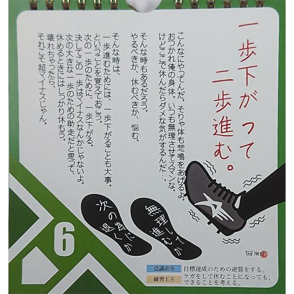 あすつく アーデル 野球人に贈る言葉 球言 令和の魂 野球カレンダー Buyee Buyee Japanese Proxy Service Buy From Japan Bot Online