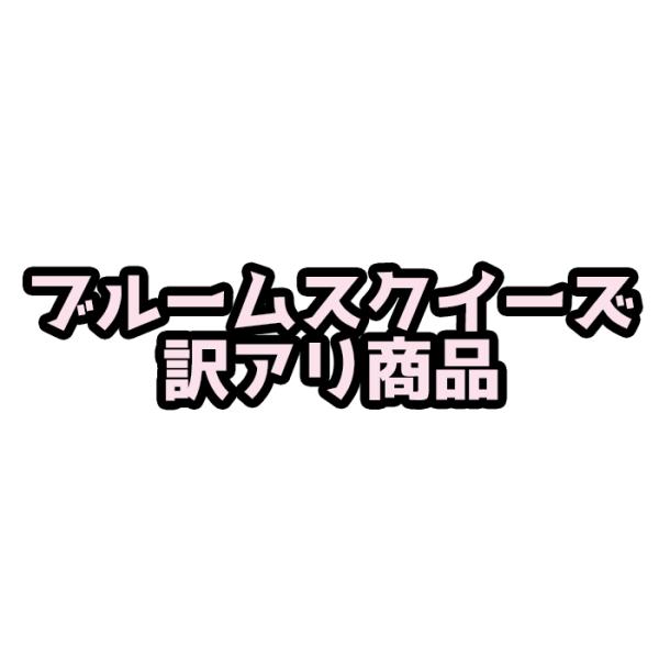 BLOOM（おもちゃ） 【訳アリ】 ブルーム スクイーズ 訳アリ商品
