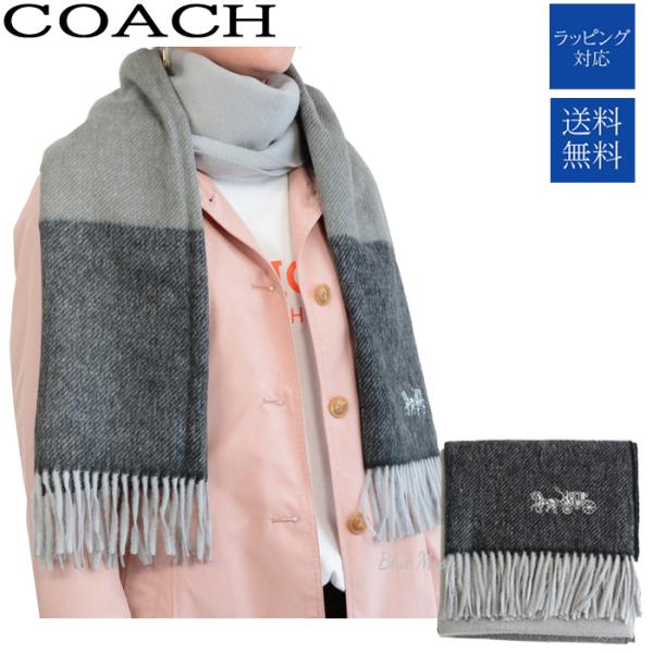 びっくりする 意義 社交的 Coach マフラー メンズ Nikkenhome Jp