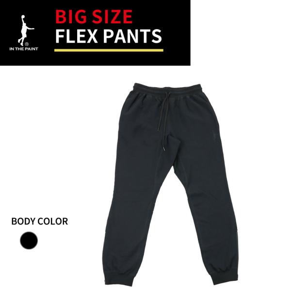 ビッグサイズ IN THE PAINT インザペイント ITP17085ME フレックス