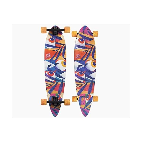 basque2_skate2607464