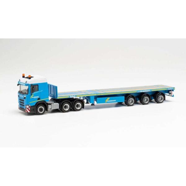 basque_herpa313858-h1221