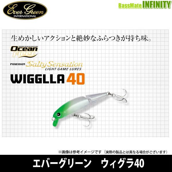EverGreen（エバーグリーン） ○エバーグリーン ウィグラ40 【メール便