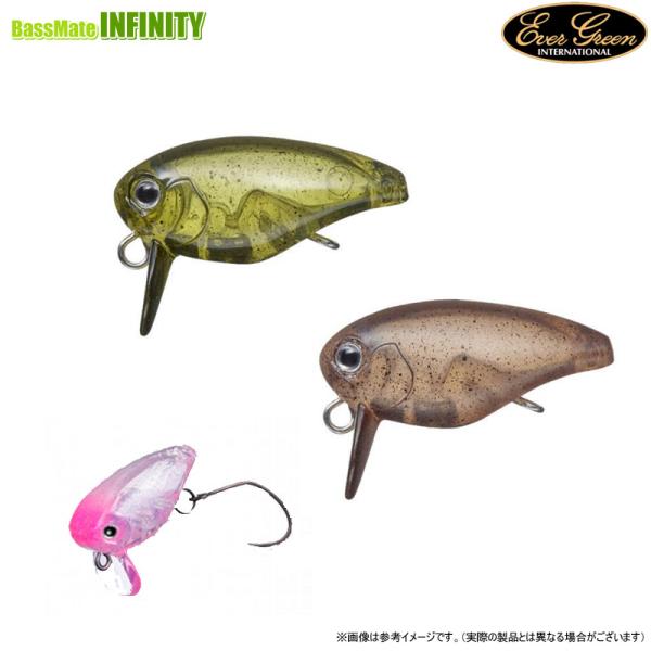 EverGreen ○エバーグリーン キラーバグ 23 【メール便配送可