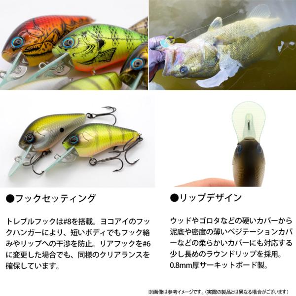 bass-infinity_15515793_3_d_20260827130708