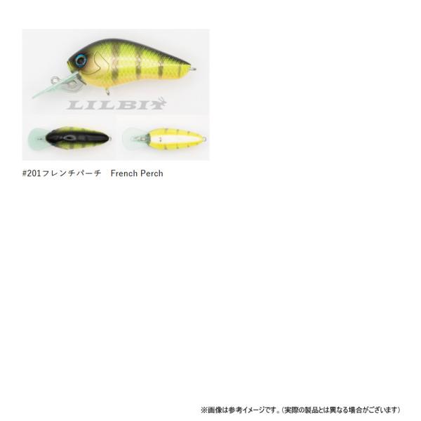 bass-infinity_15515793_6_d_20260827130707