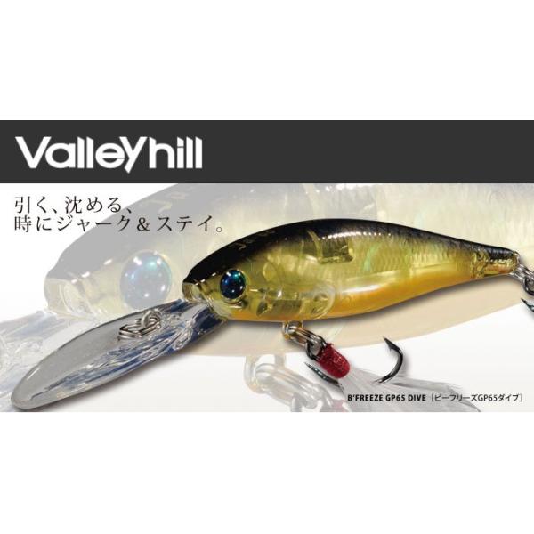 ���o���[�q���@�K�C�h�v���C�h �r�[�t���[�Y GP65 �_�C�u �A���r�C���T�[�g�J���[ �y���[���֔z���z �y�܂Ƃߑ������z