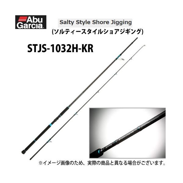 Abu Garcia（アブガルシア） ○アブガルシア ソルティースタイル