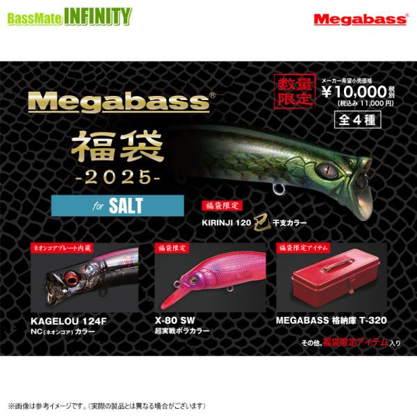 メガバス　2025福袋　ソルト　未使用品 Megabass メガバス 2025年 ソルト福袋 「Megabass 2025 for SALT