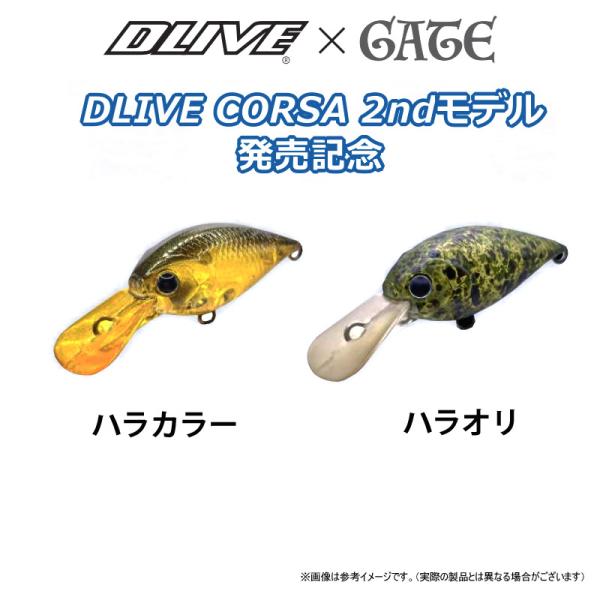 bass-infinity_26490170_2_d_20260901115442