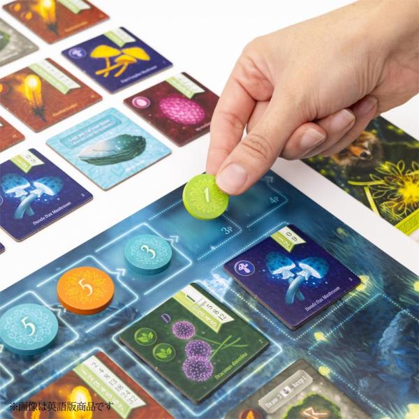 baton-store_sbga-08376_3_d_20250123181914