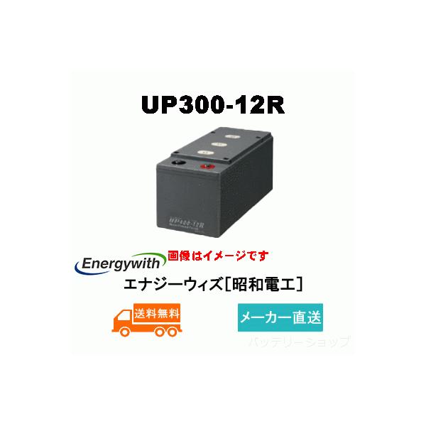 UP300-12R【エナジーウィズ】(昭和電工・日立化成・新神戸 UP300-12R【エナジーウィズ】(昭和電工・日立化成・新神戸