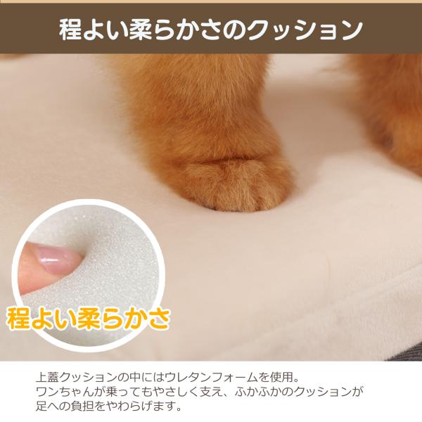�h�b�O�X�e�b�v �A�C�{���[ 2�i �X�e�b�v ���[ �܂肽���� �R���p�N�g �y�� ���p �P�K�h�~ �K�i ��41cm ���s50cm �� ���ݑ� �K�i �܂��� ���^ �V�j�A ���i�摜3