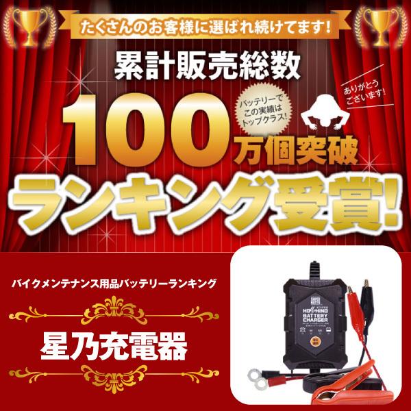 batterystorecom_charger-bchoshino_1