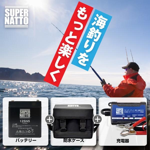 batterystorecom_sn-12sn5-v1215cs_1
