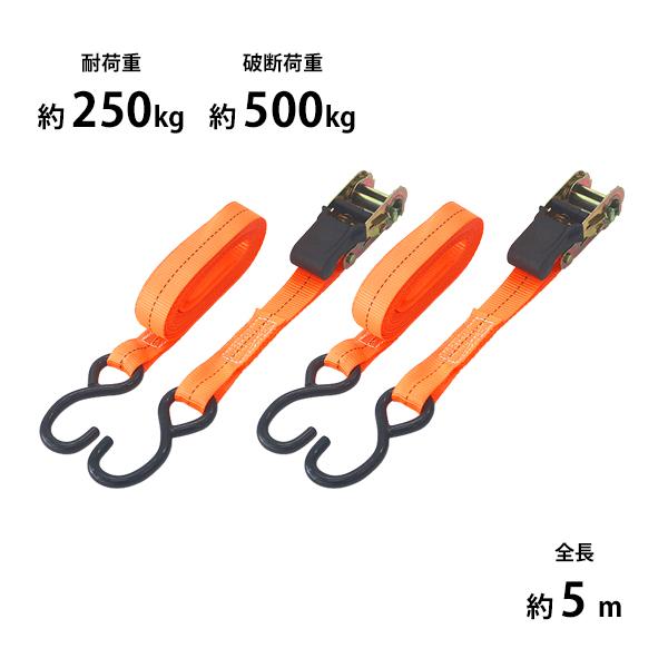 ラッシングベルト ラチェット式 2本セット 全長約5m 幅約25mm 耐荷重約250kg 破断荷重約500kg 約0.25t 約0.5t S字フック Sフック タイダウンベルト
