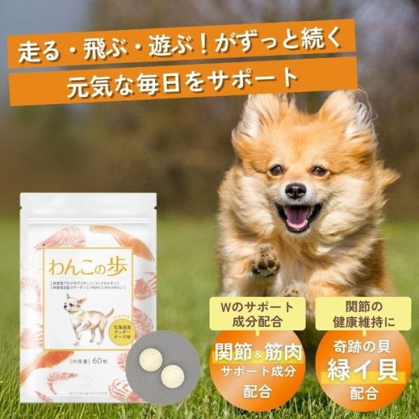 商品説明 「わんこの歩」 犬 猫 ペット サプリ サプリメント 関節 国産 無添加 わんちゃんライフ 60粒・【4大関節軟骨成分で健康維持 】弾み成分の「プロテオグリカン」や軽やかサポートの「コンドロイチン」に加え「緑イ貝」、関節の健康維持...