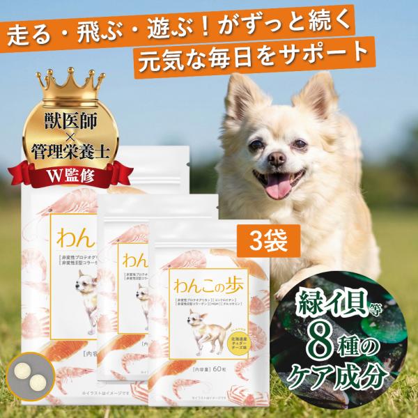 犬 関節 サプリ パテラ グルコサミン サプリメント 関節ケア 無添加 国内製造 コンドロイチン MSM シニア わんこの歩 3袋 わんちゃんライフ