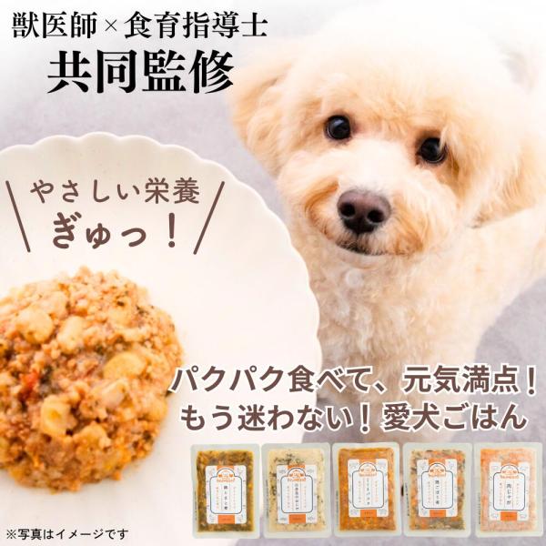 無添加 ビタミン やさしい 国内製造 手作りごはん 獣医師監修 イヌメシ デイリーレシピ( ・ )