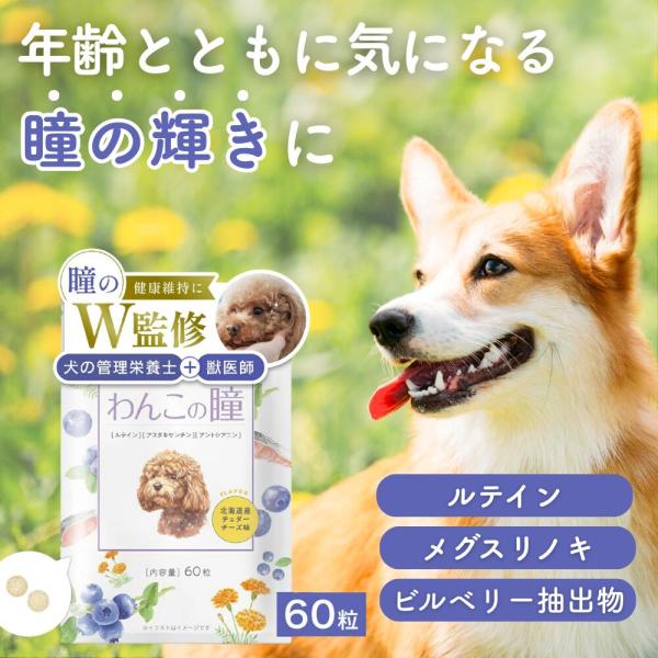 商品説明 「わんこの瞳」 犬 サプリ サプリメント 目 国産 無添加 わんちゃんライフ 60粒【将来を見渡す3大成分で健康維持！ 】輝く笑顔の健康成分「アントシアニン」や鮮やかな毎日に「アスタキサンチン」、まぶしさケアの「ルテイン」の3大成...