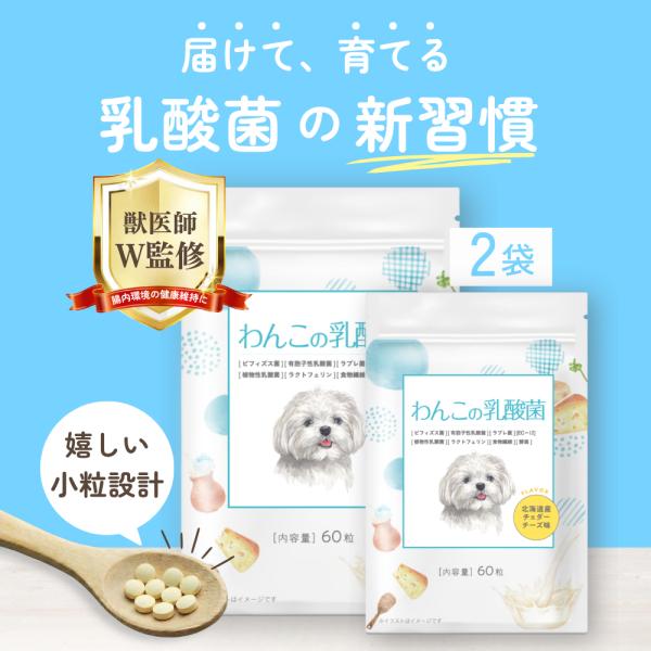 犬 乳酸菌 サプリ サプリメント 免疫 胃腸 腸内環境 整える 無添加 健康維持 60粒 獣医師監修 国内製造 わんこの乳酸菌 2袋 わんちゃんライフ
