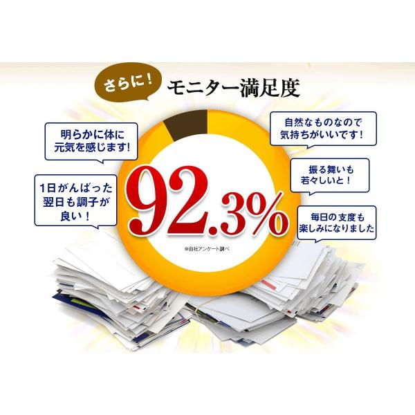 セサミンリッチ 自然良品 セサミン サプリ 胡麻 ゴマリグナン ９０粒 ３０日分 セサミン含有13 8mg Buyee Buyee 日本の通販商品 オークションの代理入札 代理購入