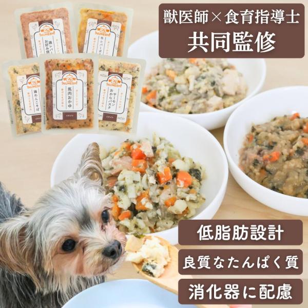 消化器 低脂肪 手作りごはん 国内製造 無添加 馬肉 獣医師監修 イヌメシセレクション タミーレシピ( ・ )