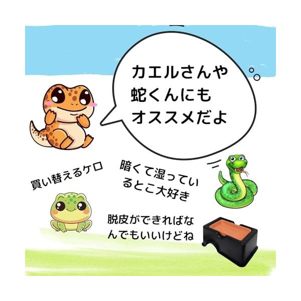 ウェットシェルター レオパ 隠れ家 洞窟穴 トカゲ カナヘビ