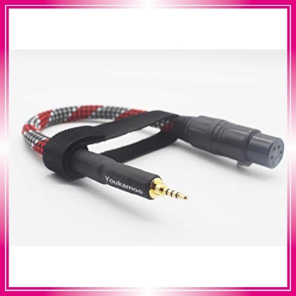 2 5mm 4極 変換 4 Pin Xlr メス ケーブル外径8mm変換プラグ 2 5mm 4極 メス バランス 変換 ステレオ ケーブル 4 Pi Wss 14pelx4g4na6 Bay Center 通販 Yahoo ショッピング