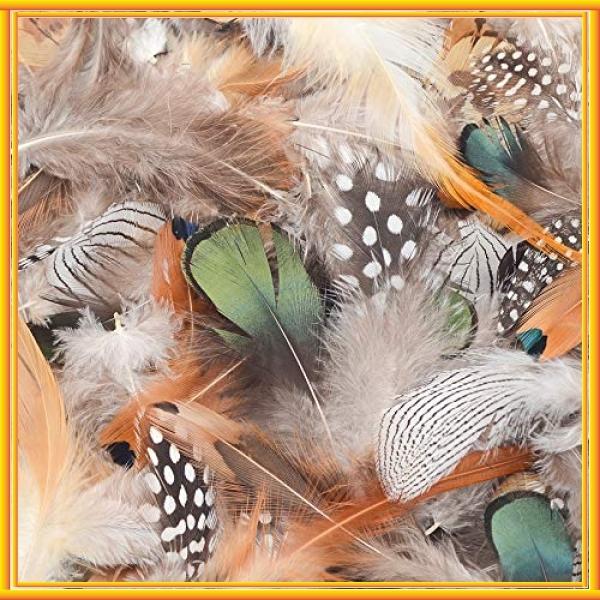 Kingsie 天然 羽根 180枚セット 6種類 フェザー 羽 シャワー 結婚式 ウェディング 飾り ドリームキャッチャー 手作 Wss 52rqyssdugra Bay Center 通販 Yahoo ショッピング