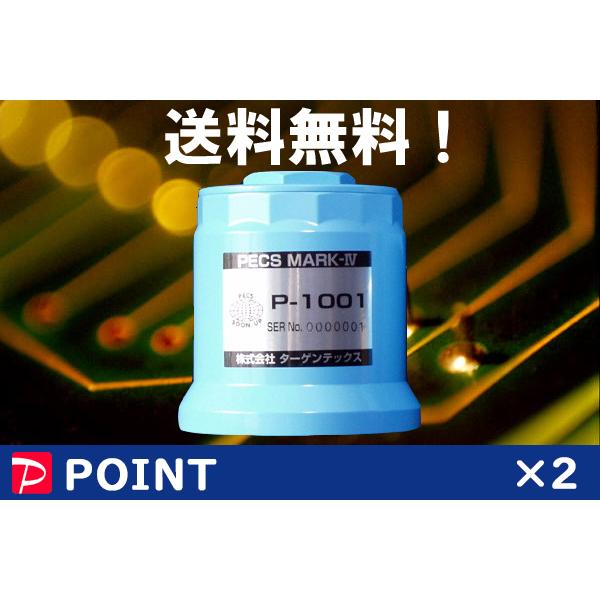 オイルフィルター PECS MARK-Ⅳ P-1001