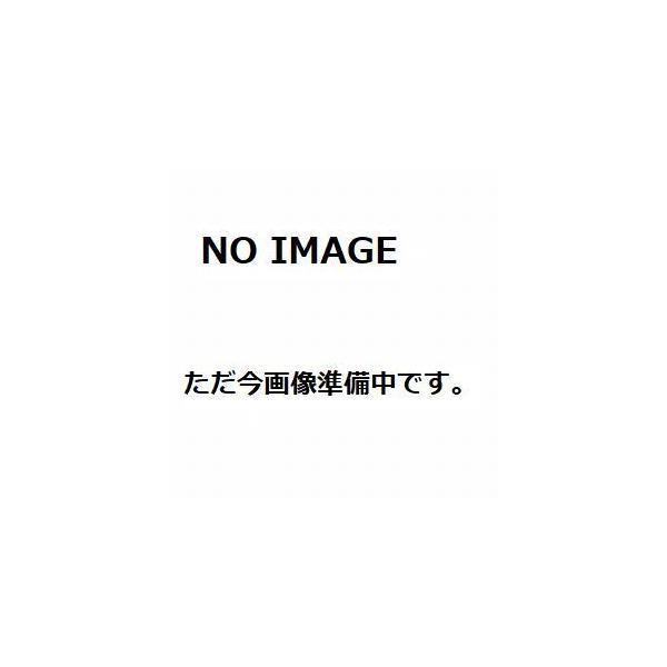 PEUGEOT（プジョー） シトロエン タイミングチェーン 0816H9