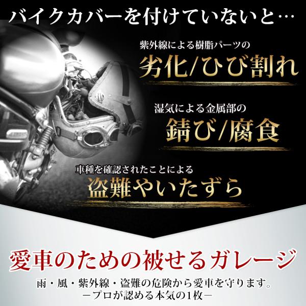 bazs-store_bazs495_5_d_20250714114733