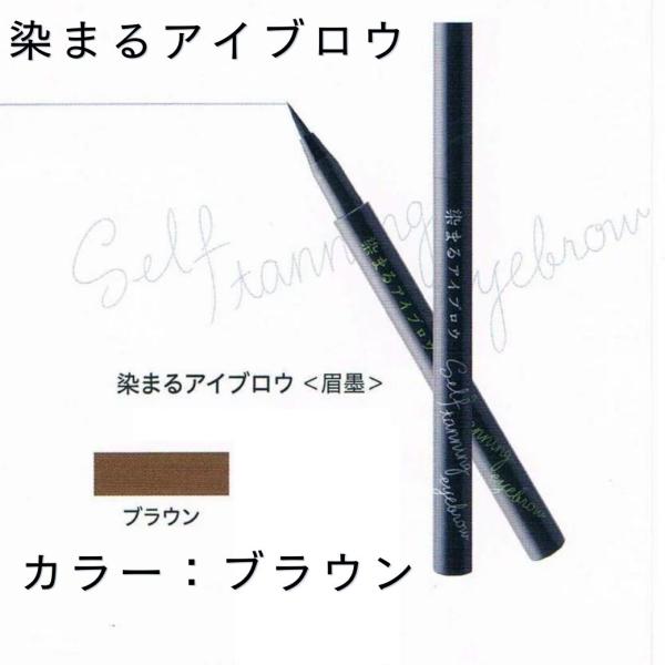 727 セブンツーセブン　染まるアイブロウ (ブラウン) 6本セット（一箱） bb-2023_727-somaruiburou-b-2