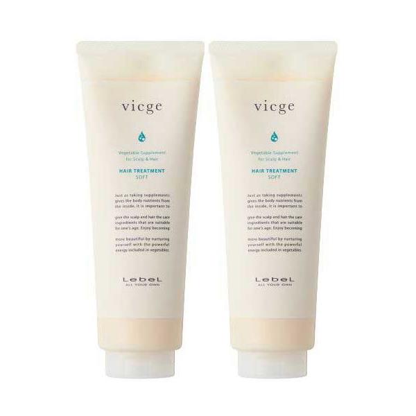 【美容院専売品】lebel viegeシャンプー&トリートメント600mlセット ルベル ヴィージェ ヘアトリートメント S 240mL 2個セット LebeL 国内