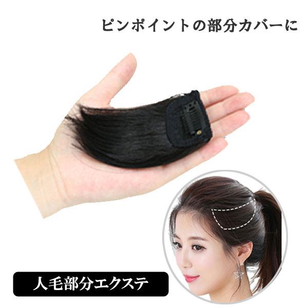人毛エクステ ストレート 10cm 部分ウィッグ エクステ 人毛 人毛エクステ ストレート 10cm 部分ウィッグ エクステ 人毛