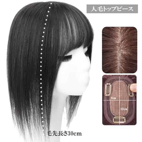 人毛 トップピース ストレート ヘアピース トップカバー 手植え 人毛 トップピース ストレート ヘアピース トップカバー 手植え