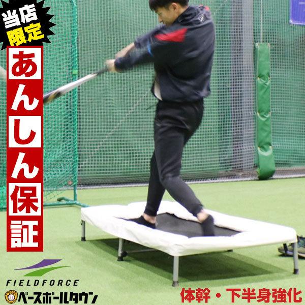 野球 バッター用トランポリン 打撃練習専用 6ヶ月保証付 一般 ジュニア兼用 体幹 下半身強化 Fbtp 1480 フィールドフォース 野球用品ベースボールタウン 通販 Paypayモール