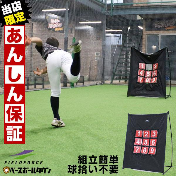 野球 6ヶ月保証 ターゲットコントロール 軟式用 投球 ピッチング 練習用品 Fpn 1310p フィールドフォース あすつく Ff Fpn 1310p 野球用品ベースボールタウン 通販 Yahoo ショッピング