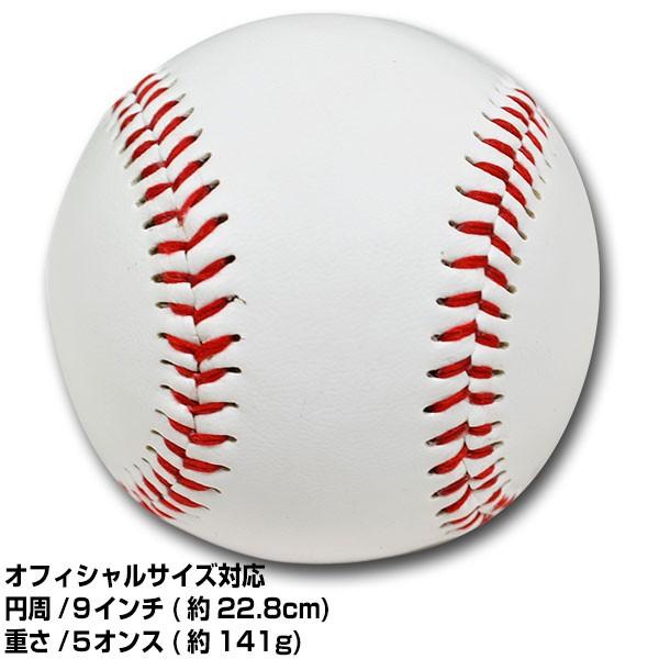 野球 サインボール 硬式球デザイン 12個売り 個包装済み サイン用 Fsb 0905 フィールドフォース 野球用品ベースボールタウン 通販 Paypayモール