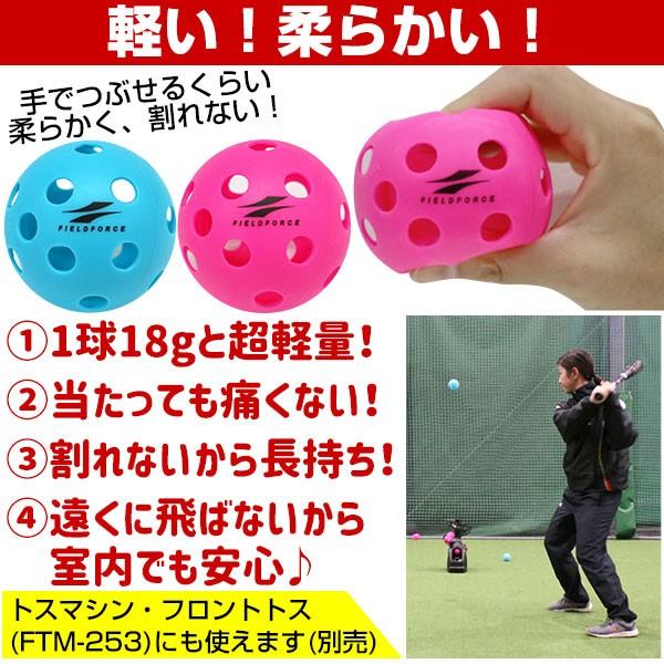 野球 穴あきボール 個セット ピンク ブルー各10個入り 専用バッグ付き 練習用品 Wfbb フィールドフォース 野球用品ベースボールタウン 通販 Paypayモール