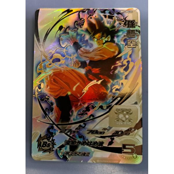 bbutton2000_sdh26791