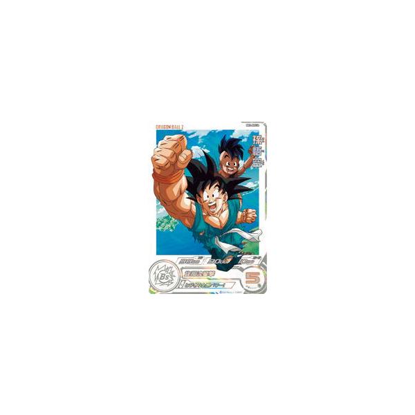 ドラゴンボール　ドラマティックカード　まとめ売り　計11枚 ドラゴンボール ドラマティックカード まとめ売り 計11枚 2025年